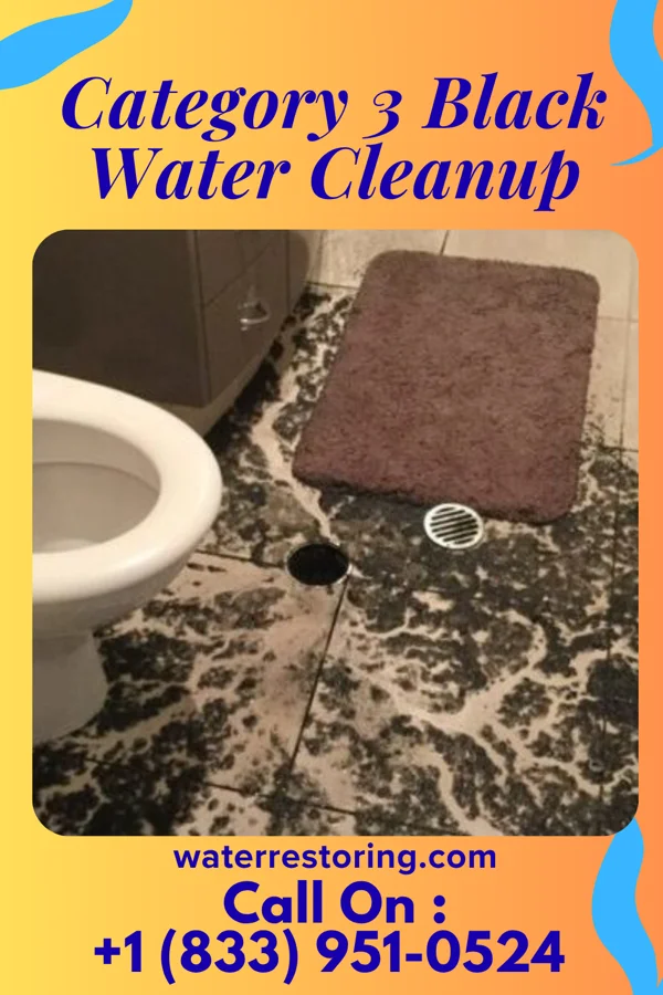 Category 3 Black Water Cleanup in Fortuna Foothills, AZ